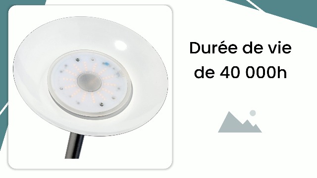 Orson Lampadaire Noir Mat LED Avec Lampe De Lecture à Variation D Et Allumages Separes H 180cm 81191970