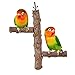 DEDC Soporte de Actividad de Madera de Loro Parrot Stand Juguete de Soporte de Jaula para Pájaro Periquito Cacatúa Juguete de Entrenamiento