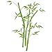 Sticker Bambou n°2 Vert du Sud 47x60 cm