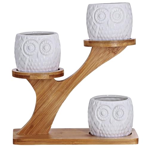 Support de plante de bureau anti-taches pour petits pots fleurs de table