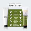 Max Green Alchemy Scalp Rescue Shampoo | No Parabens, Sulfates, PEGs or Quats. Natural Herbal Scent For All Hair Types. With Lemon Tea Tree For Healthy & Lustrous Hair. (5.5 Oz (Pack of 1))