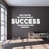 Success Comes from What You Do Consistently’ Motivational Wall Sticker – Inspirational Quote for Home, Office, Gym – Vinyl Wall Art Décor - AFN141 (White)