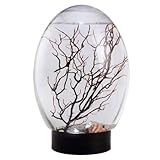 Small Fish Tank, Mini Aquarium Fish Tank Ecosphere Closed Aquatic Ecosystem with LED Light Desktop Aquarium Stable Black Base No Need to Feed or Change Water