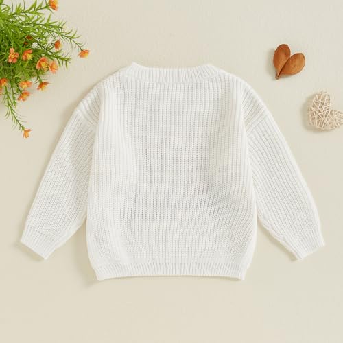 Baby Boys Girls Fall Winter Knit Sweater Long Sleeve Round Neck Embroidery Knitwears Toddler Birthday Sweatshirt3