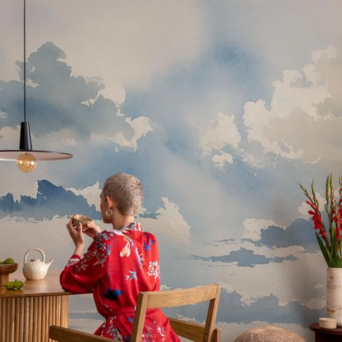 Décor mural adhésif haute qualité panoramique résistant taches nuages - 4