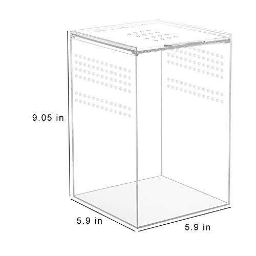Naneezoo Magnetic Acrylic Reptile Cage, 6 Inchx6 Inchx9 Inch Tall Enclosure Transparent Reptile Breeding Box Terrarium Tank For Tarantula Scorpion Sling Isopods Invertebrates Insect Mantis thumb #5