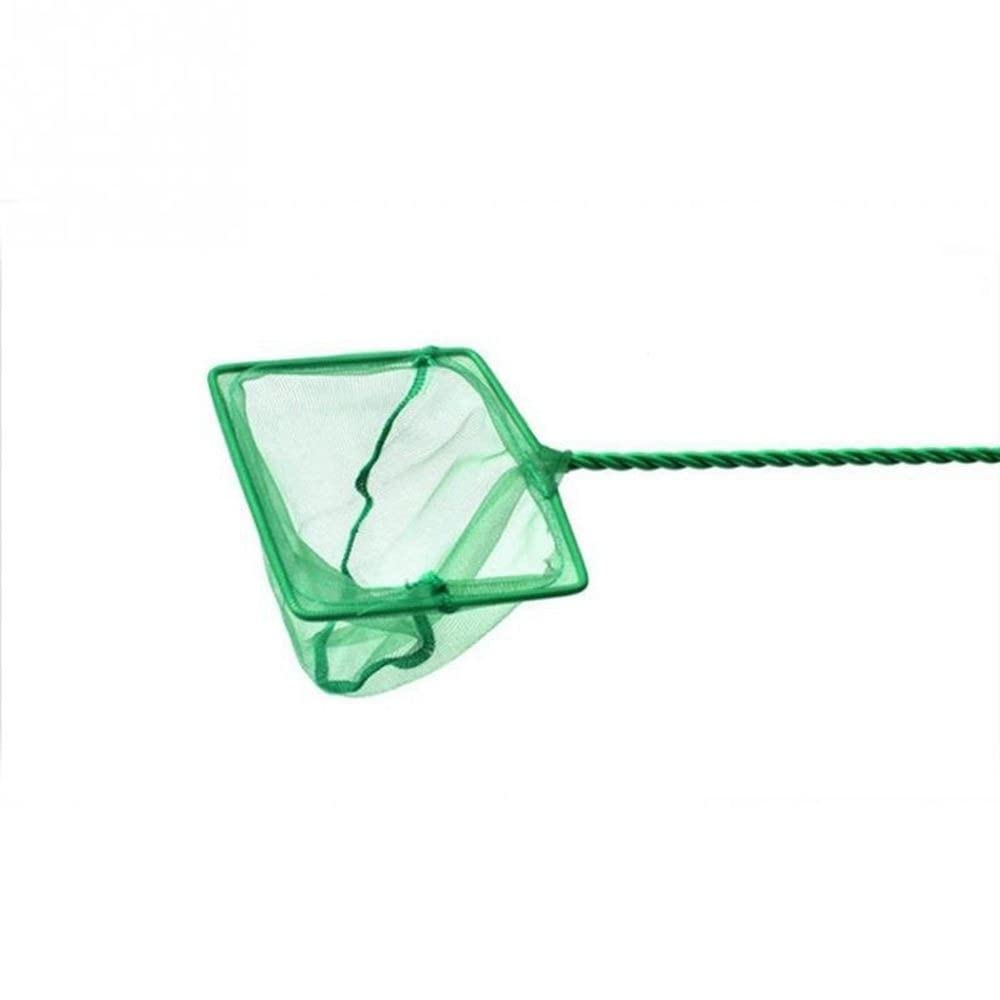 Amazon.com: Aquarium Fish Net Fine Quick Catch Mesh Nylon Fishing Catch Nets  with Plastic Handle for Fish Tank Mesh Nets Scoop Tank Accessory(12nch) :  Pet Supplies