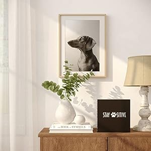 Barnyard Designs Wooden Box Sign Motivational Desk Decor, Primitive Decor Office Desk Decorations for Women Office Bathroom Shelf Decor Inspirational, Spiritual Décor (Stay Pawsitive) Barnyard Designs Wooden Box Sign Motivational Desk Decor Primitive Decor Office Desk Decorations for Women Office Bathroom Shelf Decor Inspirational Spiritual Decor Stay Pawsitive