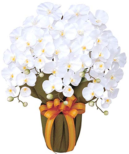 ���G�} ���� ���̊y�� �G���K���g�Ӓ���W 452A80