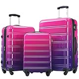 Merax Gradient Color Luggage Set,3 Piece Expandable Lightweight Hardshell with Spinner Wheels and TSA Lock,20' 24' 28'(Multicolor purple)