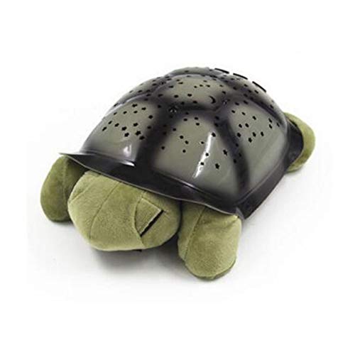 xr[pi q̂߂̃mxeBXJCmusicTurtlev̐Ԃ̂lediCgCgX^[vWFN^[ xr[pi (F : Green)