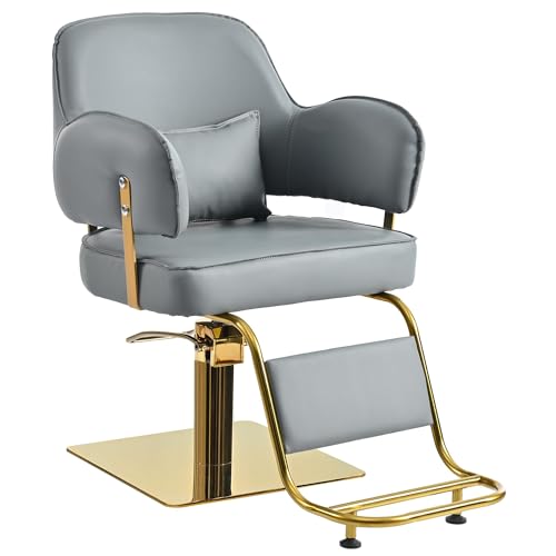 Harper & Bright Designs Barber Chair Salon Chair for Hair Stylis with Heavy Duty Hydraulic Pump Adjustable 360° Rotation B... - Review, Price and Buying Guide