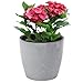 Produktbild Blumentopf Blumenübertopf Beton Optik Grau Runde 15,5cm H 13,7cm Oberfläche Matt Kunststoff Modern Glamour