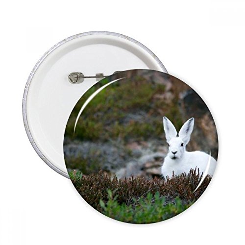 Badge bouton lapin blanc nature science paysage pins rond vêtement multicolore