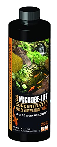 Microbe-Lift Concentrated Barley Straw Extract Plus Liquid Peat Conditioner for Ponds and Outdoor Water Garden Safe for Live Koi Fish Plants and Decorations 16 Ounces