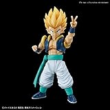 (C) Bird Studio / Shueisha-Toei Animation