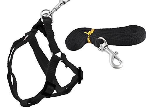 ISO TRADE Guinzaglio con Pettorina per Cane