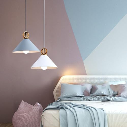 Lámpara de techo estilo granja simple para renovar la iluminación de dormitorios 4