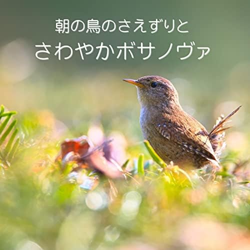 森のさえずり 森のさえずり No.50/三浦木地 | クラフト舘 ～雄大な北の大地