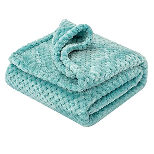 Image of Fuzzy Blanket or Fluffy Blanket for Baby Girl or boy, Soft Warm Cozy Coral Fleece Toddler, Infant or Newborn Receiving Blanket for Crib, Stroller, Travel, Decorative (40”×60”, Blue Bell)