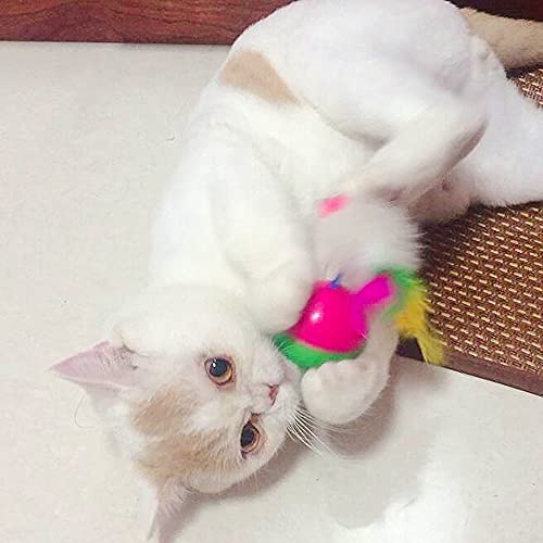 Zzjbgs 2 Pieces Of Colorful Feather Cat Toys - Tease Cat Tumbler Mouse Toys, Cat Interactive Self Hi Toys, Ball Toys (Little Mouse) #TOP1