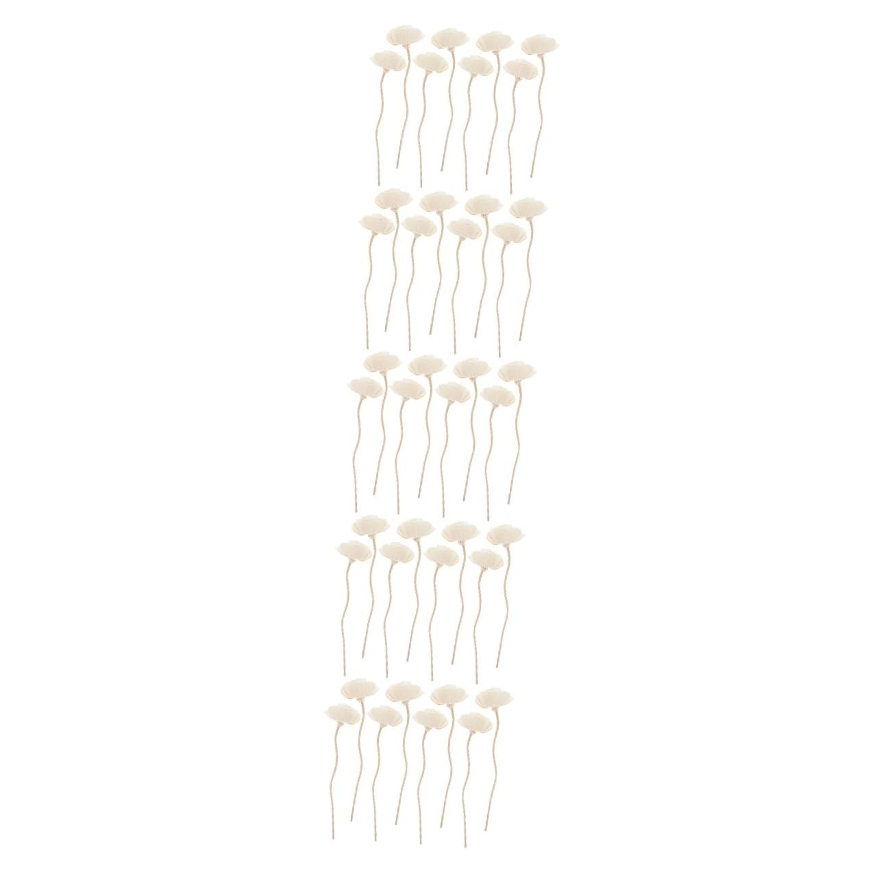 GLEAVI 5 Sätze Rattan Aroma Stäbe Für Duftdiffuser Natürliche Duftöle Dekorative Sticks Für Aromatherapie Und Raumduft Für Wohnzimmer Badezimmer Und Schlafzimmer 8 Stück * 5
