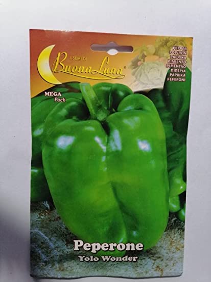 BUONA LUNA PEPPER (ROUND GREEN)
