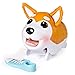 Chubby Puppies Single Pack - Shiba Inu