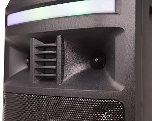 DYNASONIC DY-65201 Sistema de audio (Bluetooth, Altavoz Portatil, USB, Luces Multicolor, Radio FM, Micrófono), Negro