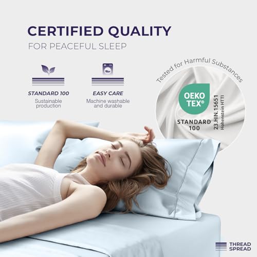 Image of THREAD SPREAD 100% Egyptian Cotton Pillow Cases Queen Size Set of 2 - Luxury 2000 Series Queen Pillow Cases (21 inch x 32 inch, Light Blue), Soft Cooling Envelope Closure Hotel Egyptian Cotton Pillowcases