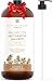Argan Oil Shampoo, 16 oz., Made With Organic Ingredients, Restorative for all Hair Types, Color-Safe Shampoo, Sulfate & Paraben Free by Essential Oil Labs