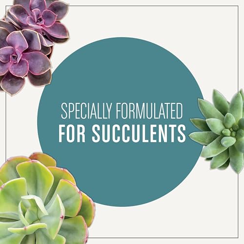 Miracle-Gro Succulent Potting Mix: Fertilised Soil with Premium Nutrition for Indoor Cactus Plants, Aloe Vera and More, 4 qt.