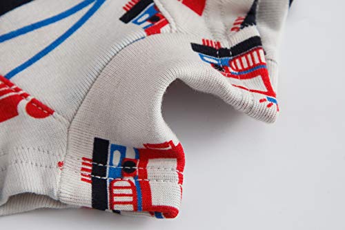 Sladatona Boys Boxer Briefs Shorts Cotton Dinosaur Baby Toddler Underwear For Kids Boy 6 Pack 5/6Yrs Mixed Colour #TOP3