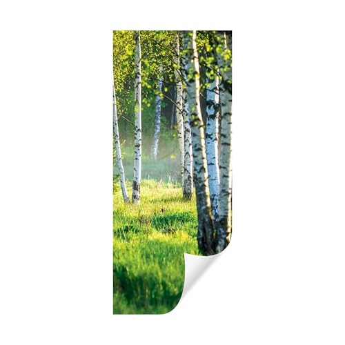Türtapete Selbstklebend Birkenwald Wald grün Natur - 91x211 cm einteilig - Türposter Fototapete für Tür Wohnzimmer Küche Badezimmer Türaufkleber Türfolie UV-Beständig Montagefertig