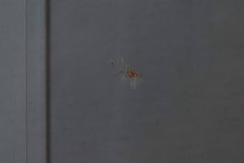 Amazon.co.jp: 932006「高沢圭一 画集」大日本絵画巧芸美術 昭和52年 Amazon.co.jp: 932006「高沢圭一 画集」大日本絵画巧芸美術 昭和52年