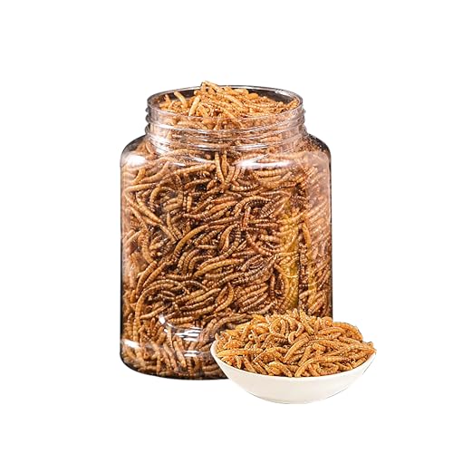 ミールワーム 虫干し ハムスター食糧 乾燥ミルワーム ペット 金魚 カメ 爬虫類 ハリネズミの菓子 動物の餌 お菓子 ヤモリ 鶏食料 フクロモモンガ オウム おやつ ボリューム満点 栄養摂取 徳用 (550ml, 虫干し)