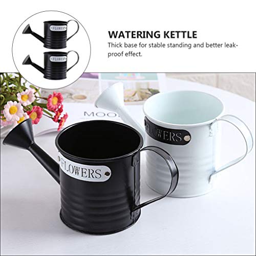 NICEXMAS 2 Pcs Regador de Planta Com Irrigador Flor de Jardim Planta Ao Ar Livre Planta Irrigadora d