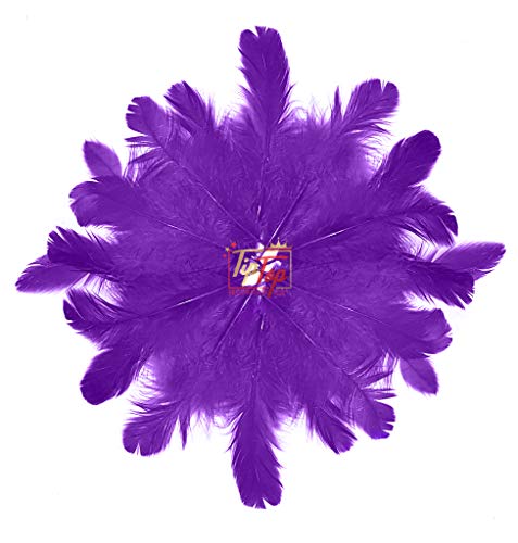 Image of TIPTOP DECORATION Natural Dyed Feathers 10 cm (80 pieces) (Violet)