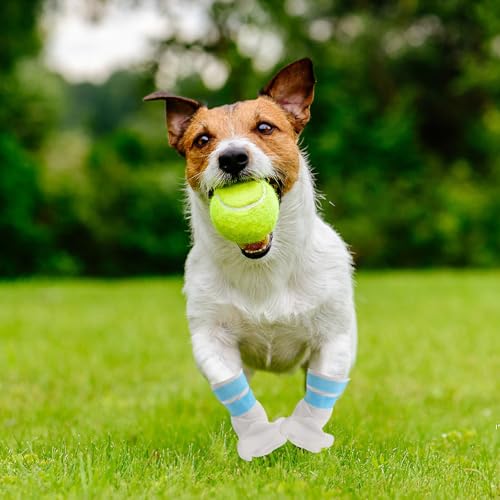 Couvre-pattes pour chien antidérapantes et imperméables - 8
