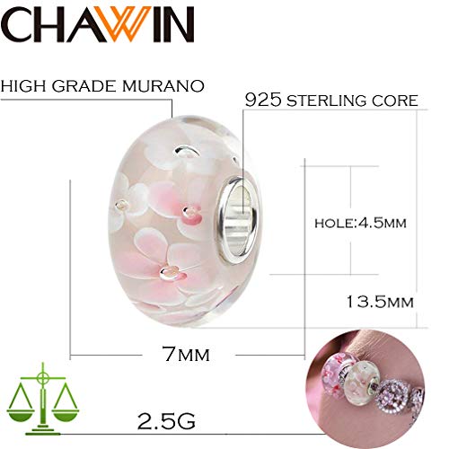 Recopilación y reviews de Pandora charm separador listamos los 10 mejores. 13 Imagen adicional