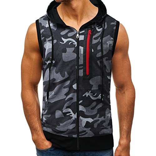 ^Ngbv Y m[X[u ؃g tBbglXEGA WEFA g[jOEFA ^Ngbv Y g[jO Lisusut Y ^Ngbv TVc m[X[u xXg Wp ؃gEFA {fBr g[jO X|[