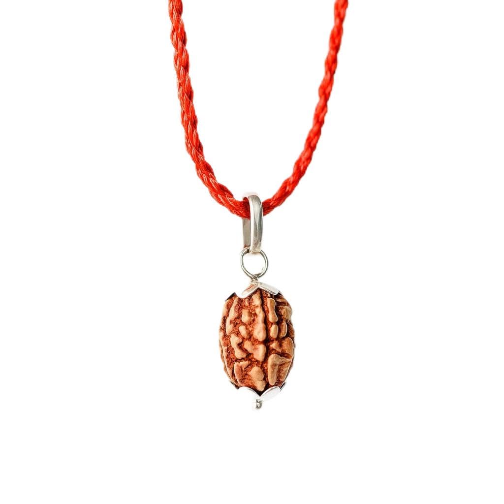 SHIVAKSH® Certified 3 Mukhi Rudraksha Pendent, Locket For Men & Women | Original Bead for Confidence, Healing & Past Guilt | 3 Face Rudraksha | Spiritual Jewelry Pendent For Men & Women