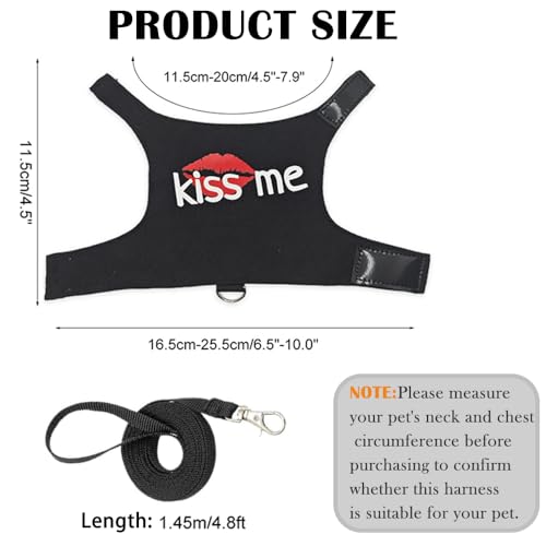Image of Bearded Dragon Leash and Harness, Adjustable Lizard Reptiles Harness Clothes with 4.76ft Leash, Small Pets Harness and Leash Set for Lizards Ferrets Hamsters Walking Training Outdoor