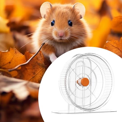 Ｂｅｓｇａ Roda de exercício para hamster, roda de corrida, atividade esportiva silenciosa, corredor inte