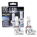Precious Ray Z DBA1932 [LED 6500K HB3/HB4/HIR2]