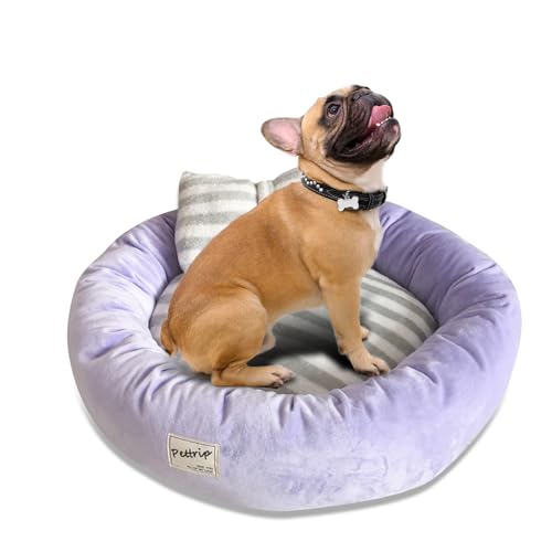 PETCUTE Cuccia Gatto Interno Letto per Cani Lavabile Soffici Cuscino Cane Lettini Morbida con Cuscino Reversibile Taglia Media(M-55 * 15 cm Viola)