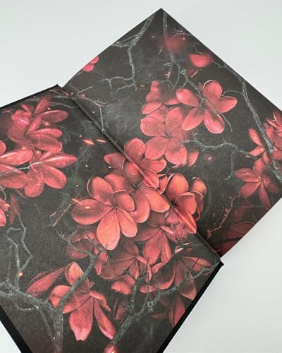 The Damned (Coven of Bones, 3)