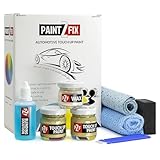PAINT2FIX フィアット用タッチアップ塗料 - Giallo Superga 515/A | スクラッチとチップ修理キット - ゴールドパック