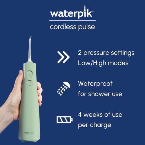 Waterpik Pulse Hydropulseur Dentaire sans Fil - 9 semaines d'autonomie
