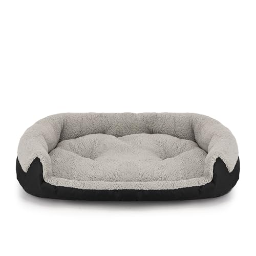 Mascotas, Pet Products Imagen adicional
